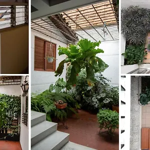 Casa De Lola Pensión Medellín